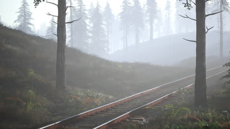El-Ferrocarril-Vacío-Atraviesa-Un-Bosque-Nublado-Por-La-Mañana